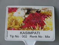 01-95 X 125Resimli1